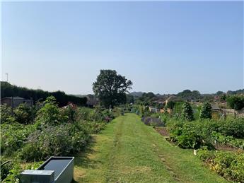 Climate, Nature and Environment Committee