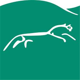 Waste and Street Cleaning survey