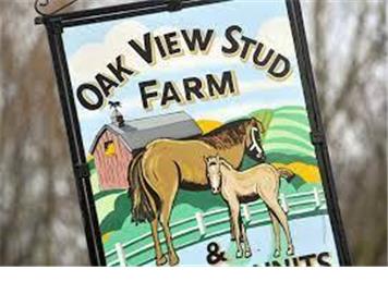 Annual Charity Ride Out Sunday 27th August