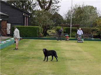 Closed season work on green