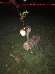 Light a Tree on the Village Green