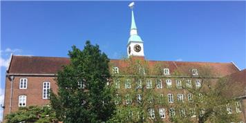 Hampshire County Council meeting