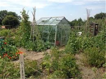 Allotment - Southwood Extension