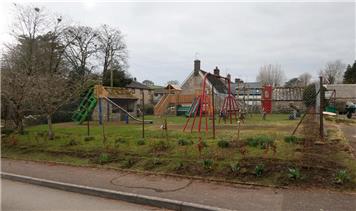 25th February 2023  Planting the hedge around the playground