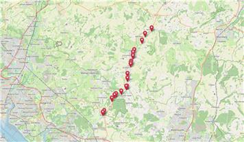 Tree Safety Work on Meon Valley Trail