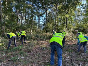Monday 23rd March 2026 Greyfield Wood