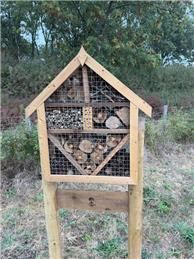 New Bug House and Bench