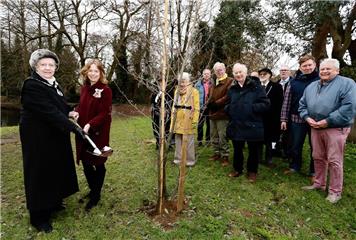 Tree planted in memory of the Queen