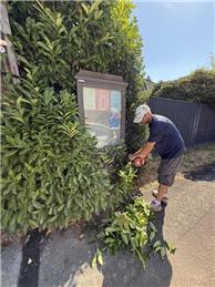 Noticeboard reclaimed from foliage!