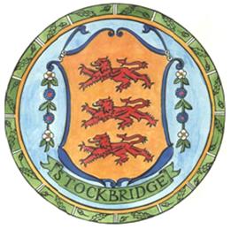 Pollution in the River Test