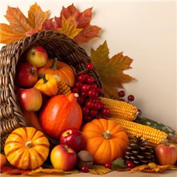 Autumn Harvest & Village Hall Open Day