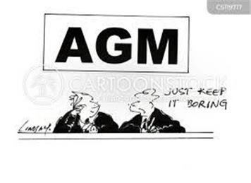 Annual General Meeting (AGM)