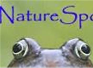  - NatureSpot Wildlife Website