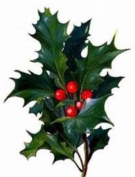 The Mondays Christmas Concert & Carol Song 