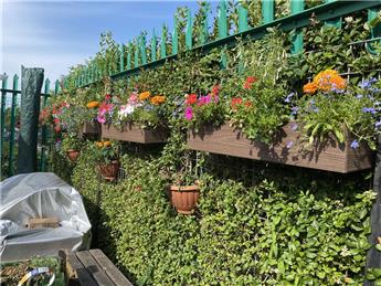 July Newsletter 2025 Part One