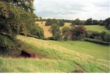 Annual Parish Meeting and Annual Parish Council