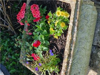 It's not just green at the Bowls Club!