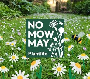 No Mow May 2026