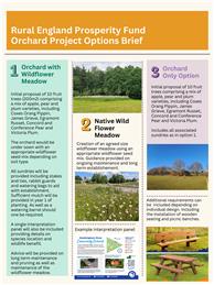 Local Wildflower Meadow / Orchards Opportunity