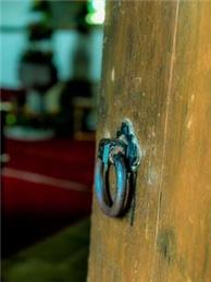 HARVEST FESTIVAL 2025