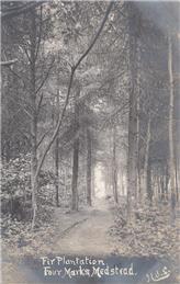 New Postcard added to website