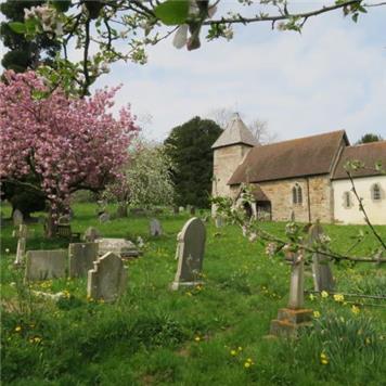  - Springtime in Hope Bagot churchyard