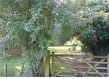 Pre-Christmas Day Walk