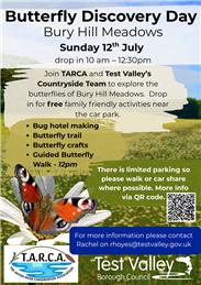 Butterfly Discovery Day - Bury Hill Meadows