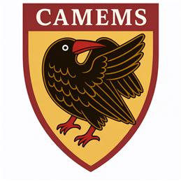 MEMS Fest 19-20 June 2026 - Details Soon!