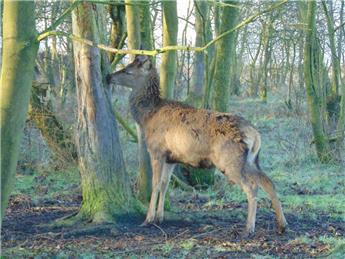 News Information  Page