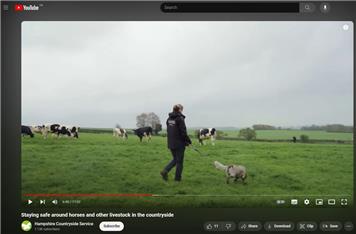Safety around livestock - educational video from HCC Countryside Services