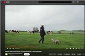 Safety around livestock - educational video from HCC Countryside Services