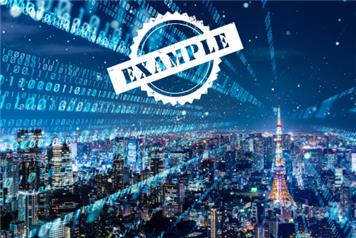 Digital Governance & Good Councillor Workshop