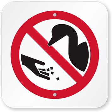  - Please don't feed the Ducks