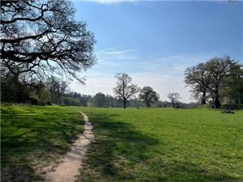 New benches in Turnpike Field