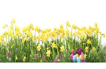 Tea and Cake and Chat - Tuesday 21st April '26