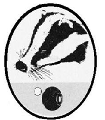 Brockenhurst Bowling Club Logo