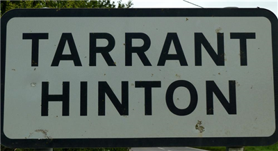 Tarrant Hinton Parish Council Logo