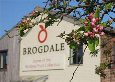 Brogdale Collections
