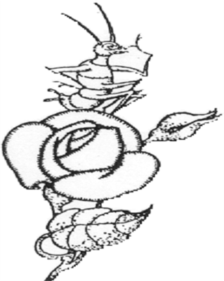 Minehead and District Gardeners Association Logo