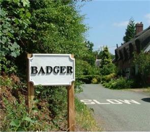 Badger Parish Council